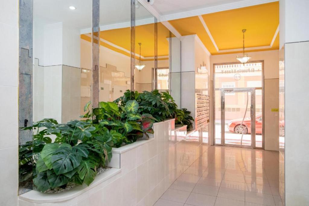 Bonito Apartamento En Torrevieja Exterior foto